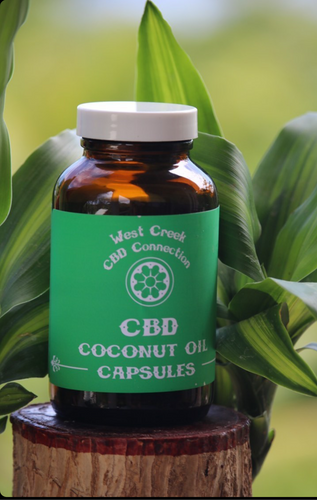 50 mg full spectrum CBD coconut oil capsules